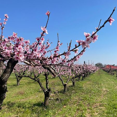 Agriturismo Corte Vecia Alloggio Della Corte Verona Buitenkant foto